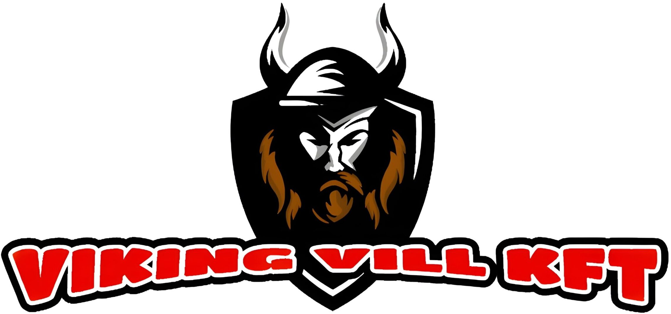 Viking-Vill Kft. logó